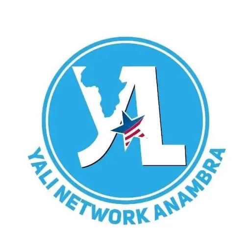 YALI Network Anambra logo