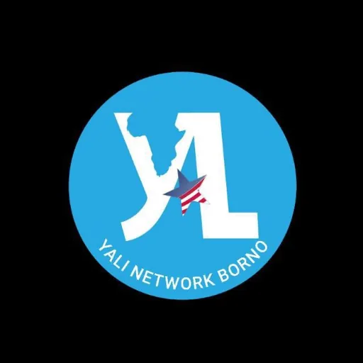 YALI Network Borno logo